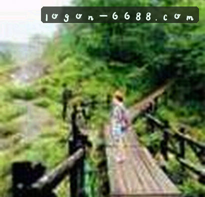 刘洋